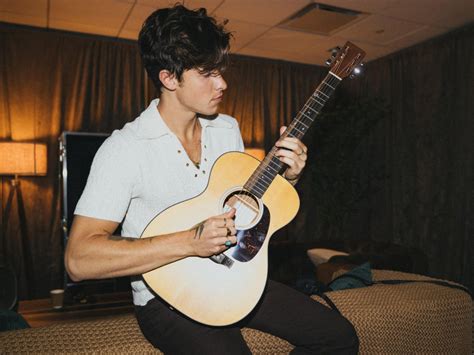 shawn mendes signature guitar.